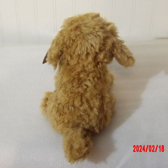 Aurora Miyoni Tots Labradoodle dog - Picture 2 of 4